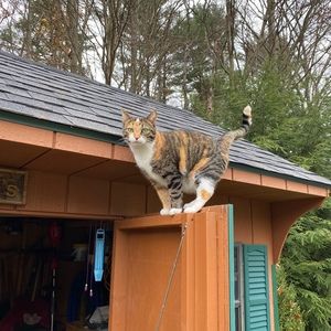 Meet your Posher, Lori